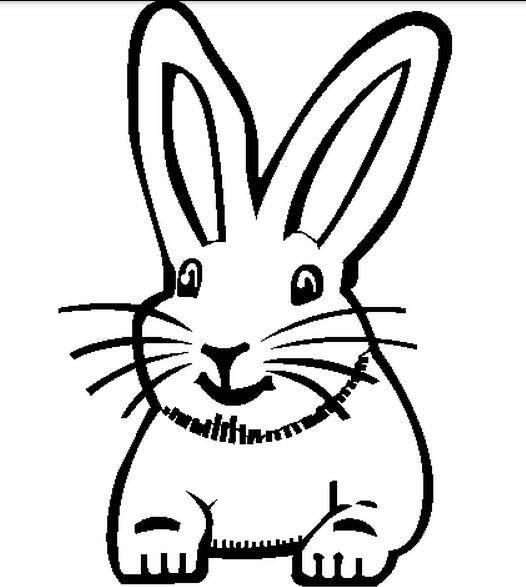 动物简笔画图片大全大图 动物简笔画图片大全大图小动物