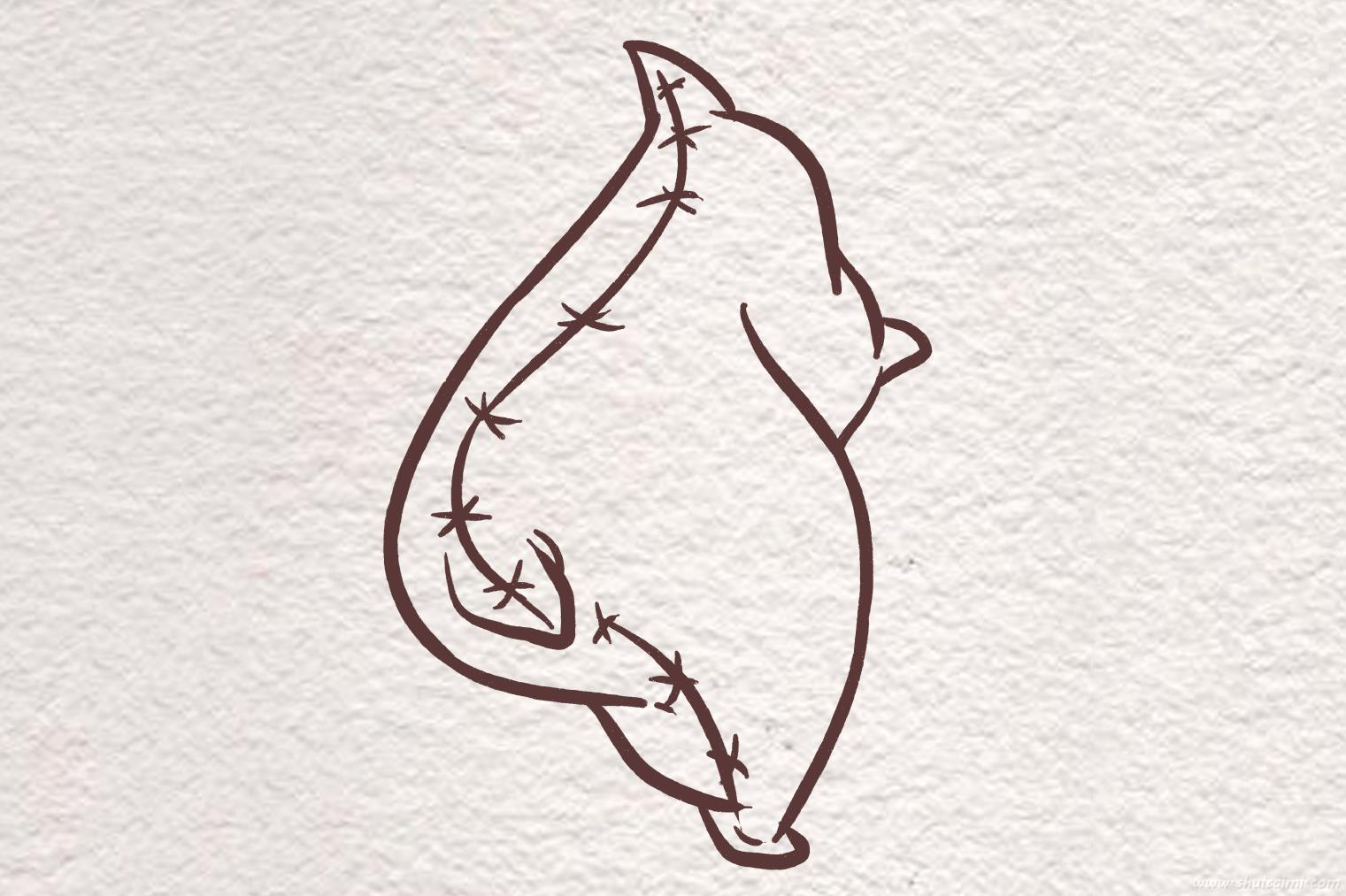 会武术的枕头怎么画 会武术枕头简笔画图片大全带颜色