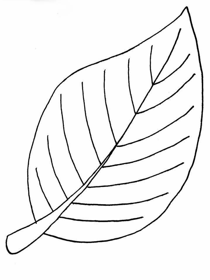 简笔画树叶 简笔画树叶边框