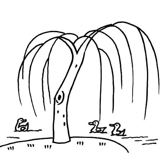 柳树简笔画图片大全 柳树简笔画图片大全大图简单