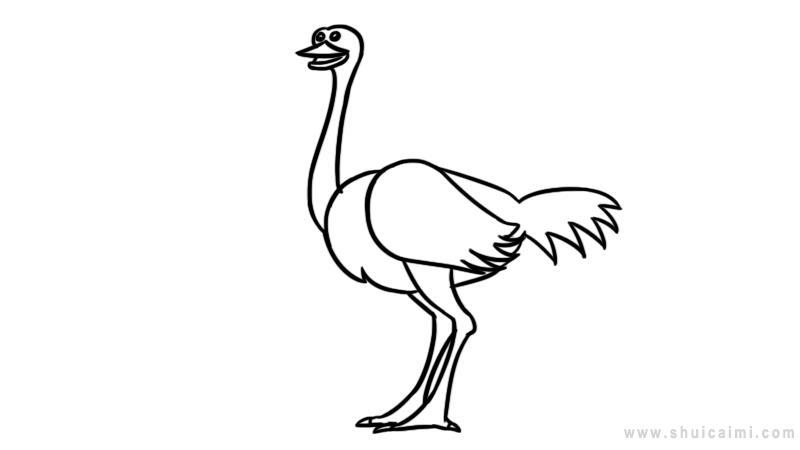 鸵鸟简笔画怎么画 鸵鸟简笔画画法