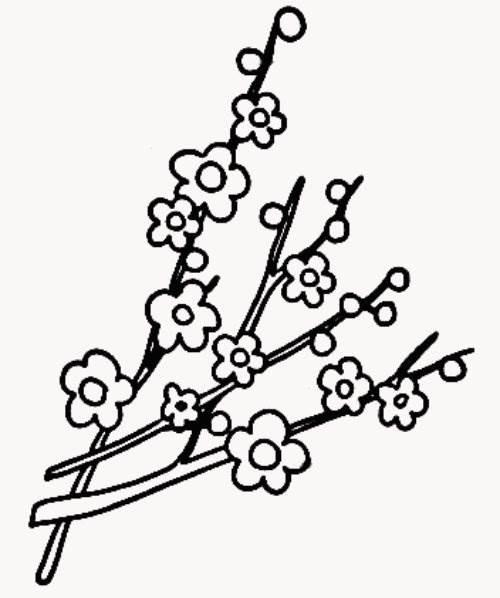 梅花树简笔画 梅花树简笔画手绘