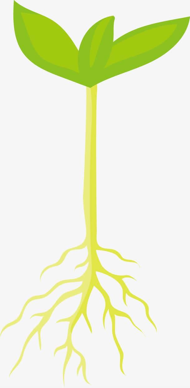 禾苗简笔画 禾苗简笔画简单又好看