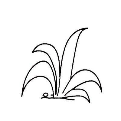 草简笔画 草丛简笔画