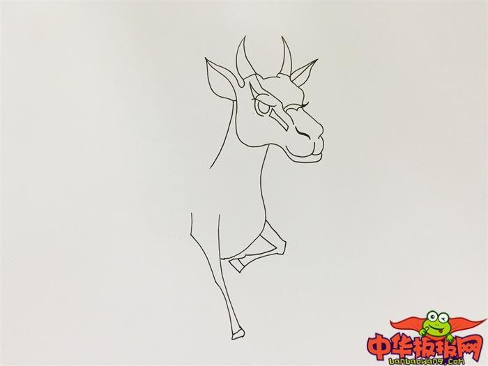 奔跑羚羊怎么画 奔跑羚羊简笔画漂亮卡通