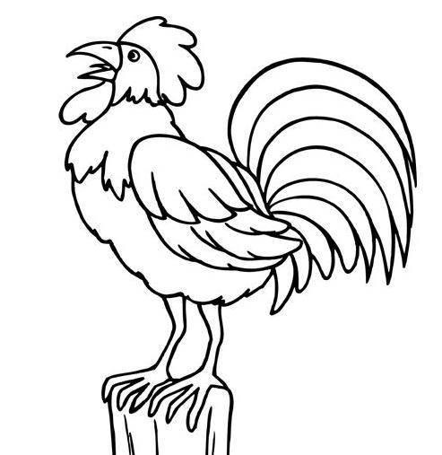 公鸡的简笔画图片大全 公鸡的简笔画图片大全可爱简单又漂亮