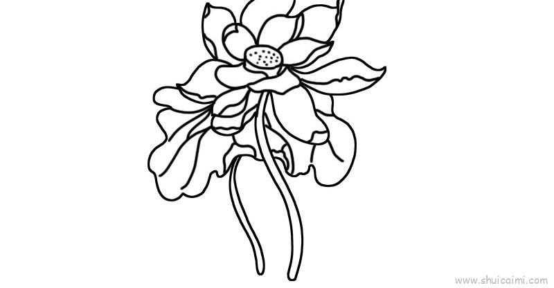 荷花儿童画怎么画 荷花简笔画画法