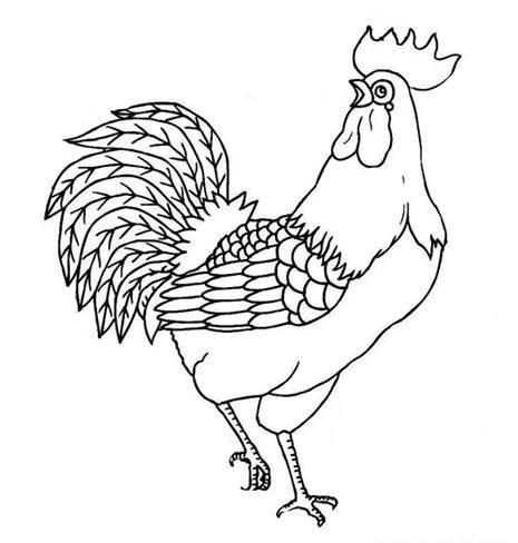 公鸡简笔画 公鸡简笔画怎么画