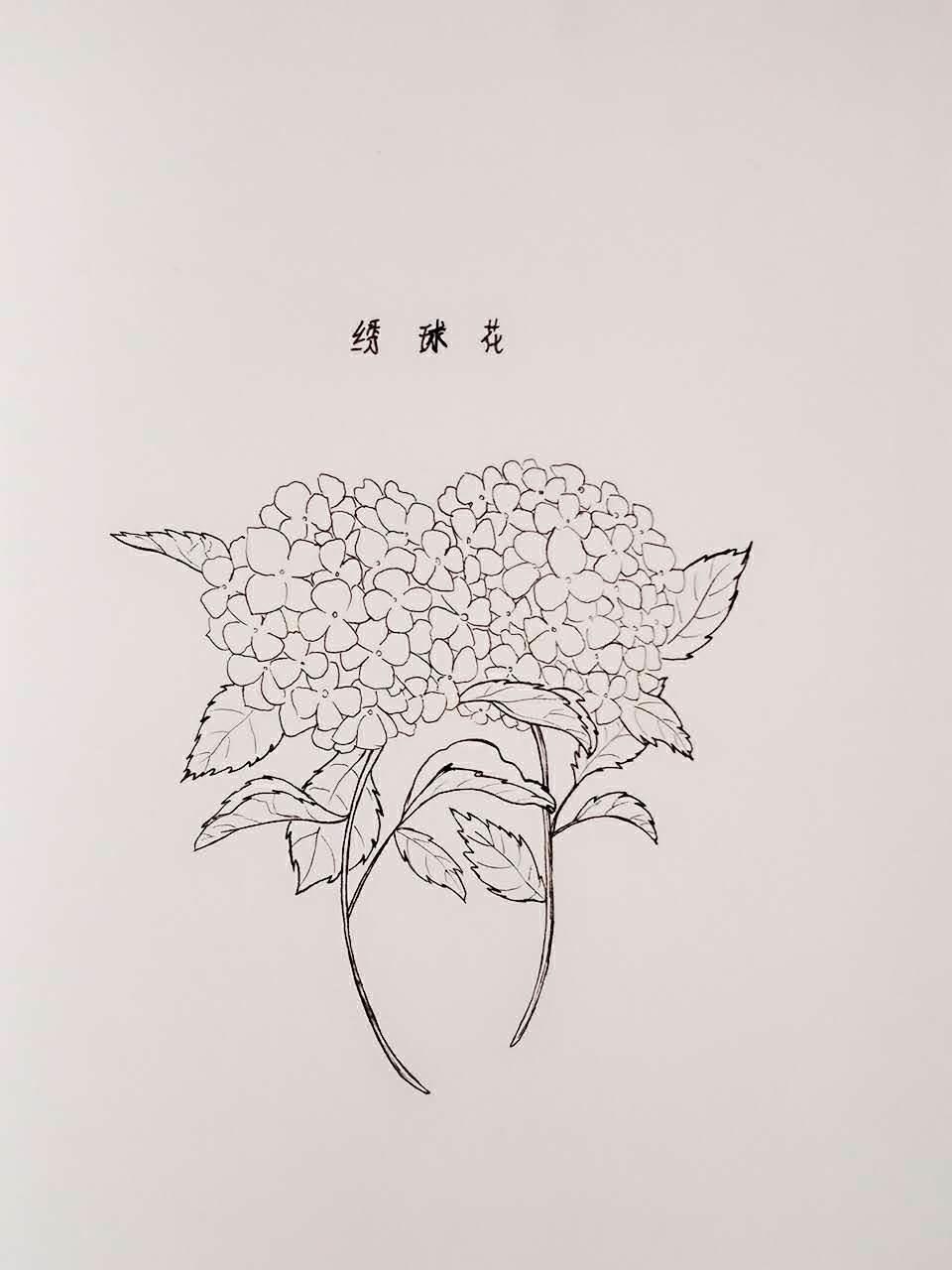 壮族绣球简笔画 壮族绣球简笔画怎么画