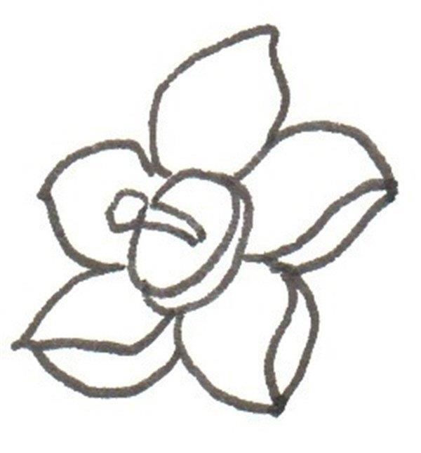 水仙花的简笔画怎么画 水仙花的简笔画步骤