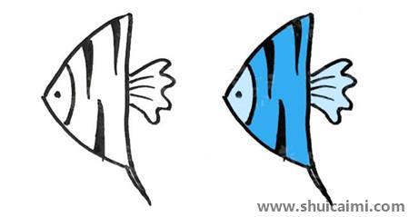 热带鱼彩色儿童简笔画