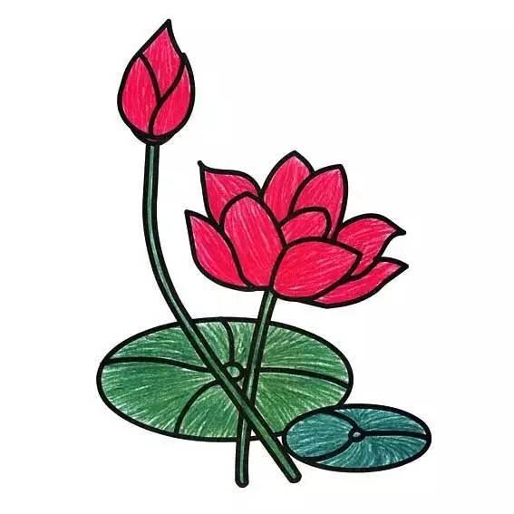 画植物简笔画 儿童画植物简笔画