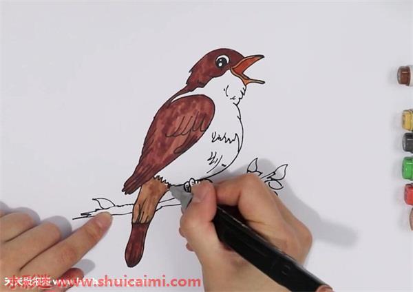 夜莺怎么画 夜莺简笔画画法