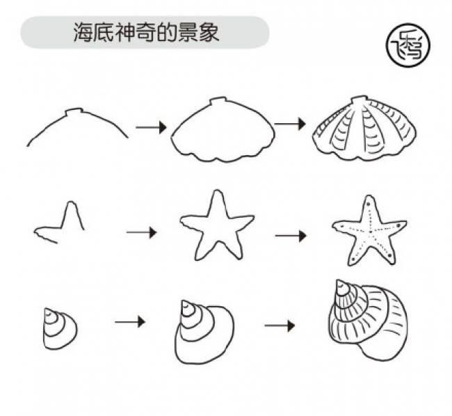 海螺简笔画 海螺简笔画彩色