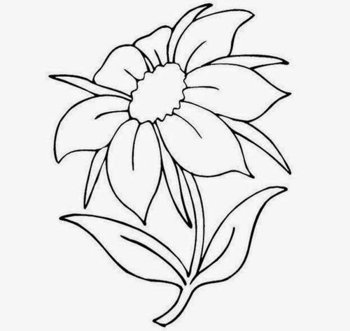 花卉简笔画图片大全 花卉简笔画图片大全大图彩色