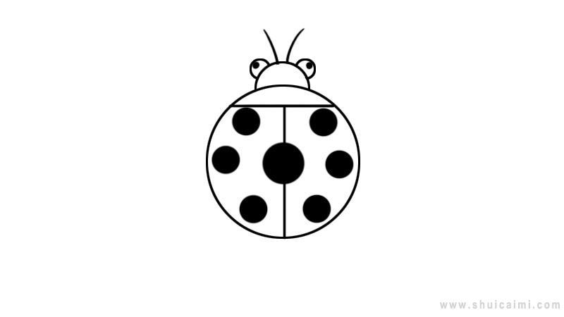 七星瓢虫简笔画怎么画 七星瓢虫简笔画步骤