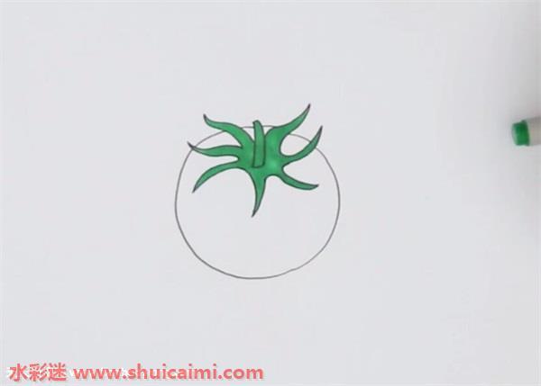 西红柿怎么画 西红柿简笔画步骤