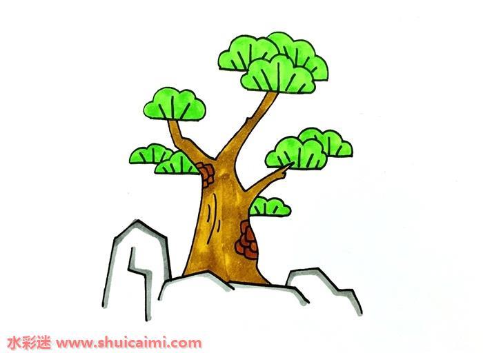 松柏怎么画 松柏简笔画图片大全带颜色