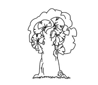 画树的简笔画图片大全 画树的简笔画图片大全带颜色