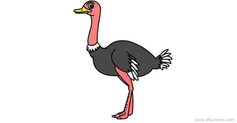 鸵鸟儿童画怎么画 鸵鸟简笔画图片