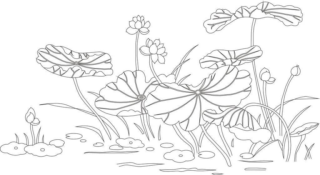 荷花简笔画图片 荷花简笔画图片大全简单漂亮