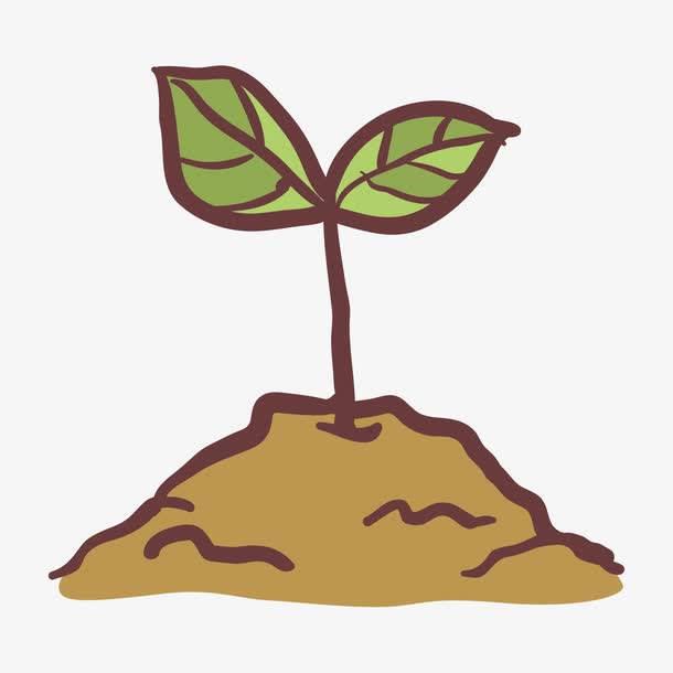 小树苗简笔画图片大全 小树苗简笔画图片大全彩色