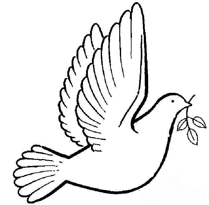 简笔画鸽子 简笔画鸽子涂色