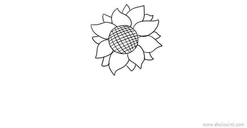 向日葵儿童画怎么画 向日葵简笔画画法