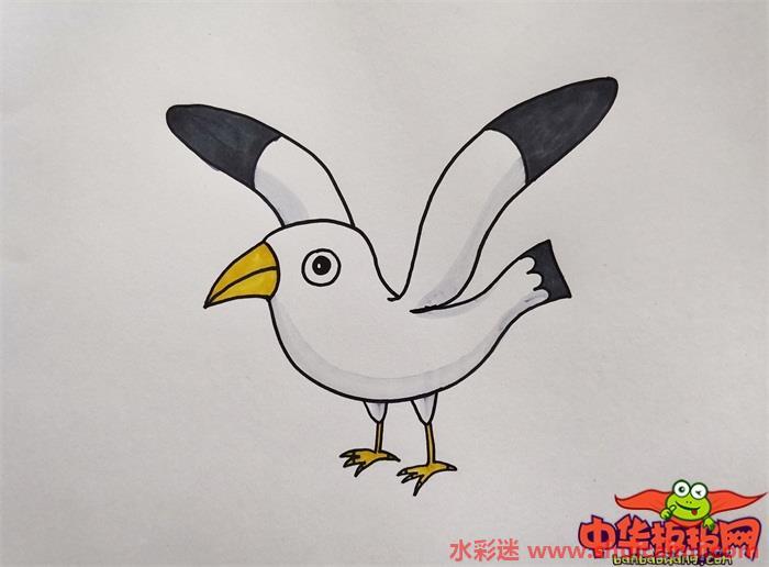 最海鸥怎么画 最海鸥简笔画简单易画彩色