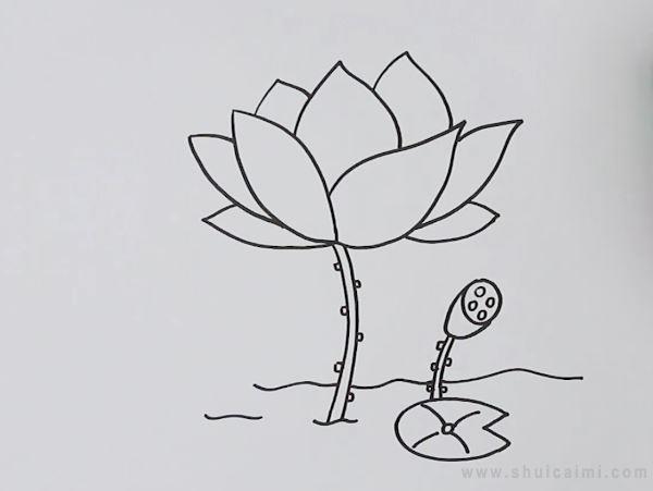 荷花简笔画怎么画 荷花简笔画好看