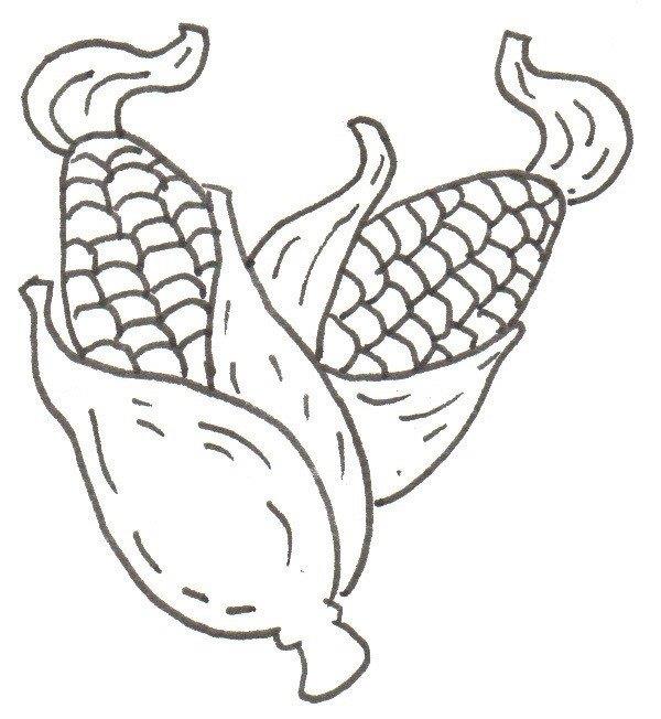 玉米的简笔画怎么画 玉米的简笔画简单又好看