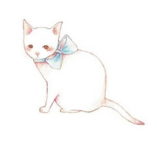 猫咪简笔画 猫咪简笔画图片