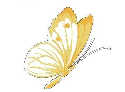 蝴蝶的简笔画 蝴蝶的简笔画怎么画最好看又简单