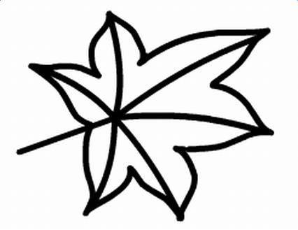 枫叶简笔画 枫叶简笔画图片大全