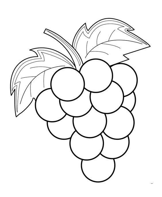 画水果的简笔画 我想画水果的简笔画