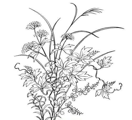 草简笔画 草丛简笔画