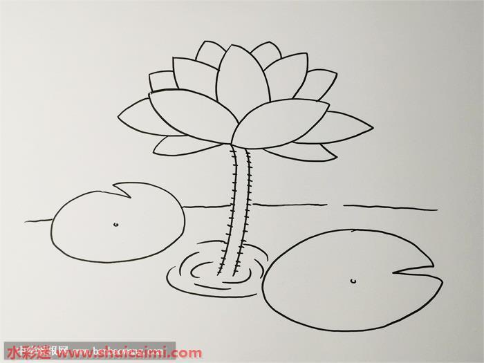 荷花怎么画 荷花简笔画漂亮卡通