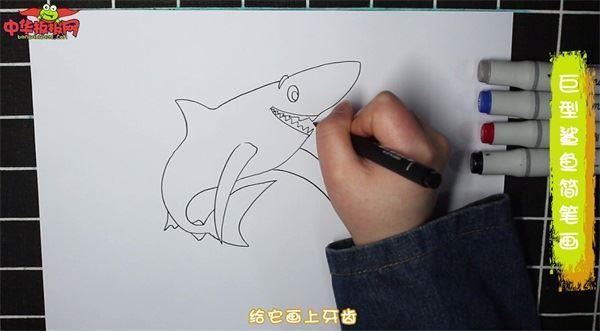 巨型鲨鱼怎么画 巨型鲨鱼简笔画简单又漂亮彩色