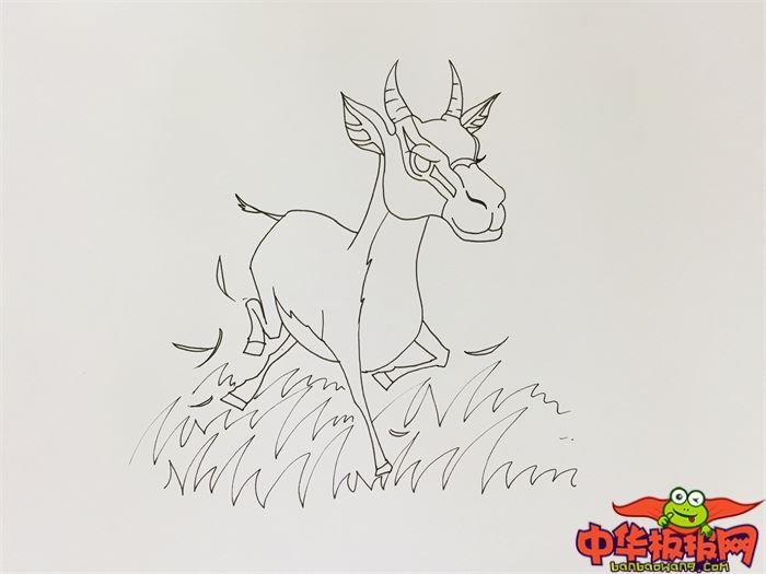 奔跑羚羊怎么画 奔跑羚羊简笔画漂亮卡通