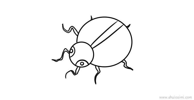 七星瓢虫教程儿童画怎么画 七星瓢虫教程简笔画画法