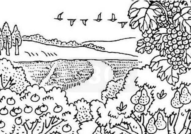 秋天的简笔画 秋天的简笔画幼儿园