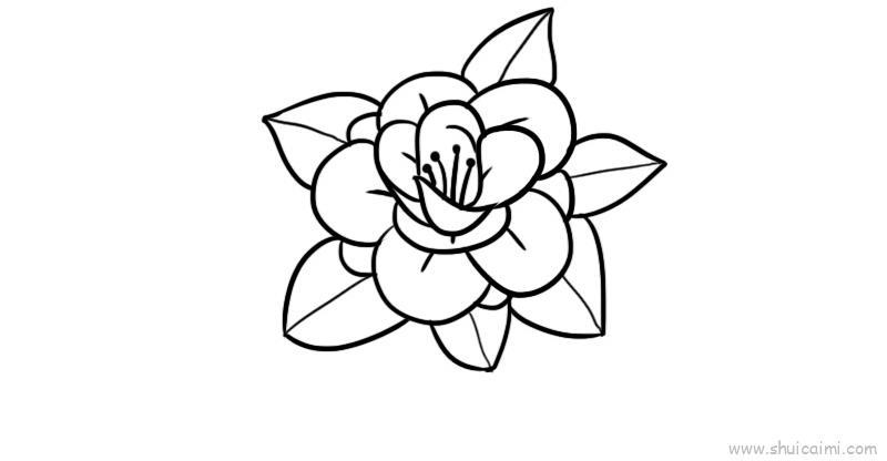 花卉儿童画怎么画 花卉简笔画顺序