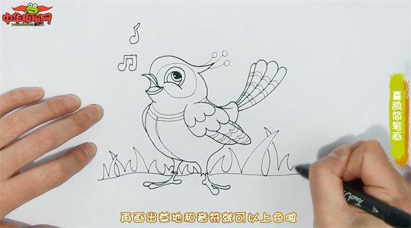喜鹊怎么画 喜鹊简笔画彩色