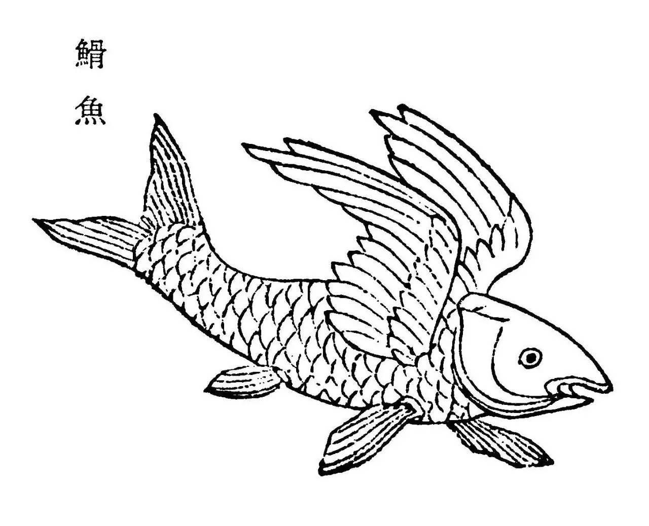 鱼简笔画 鱼简笔画简单又漂亮