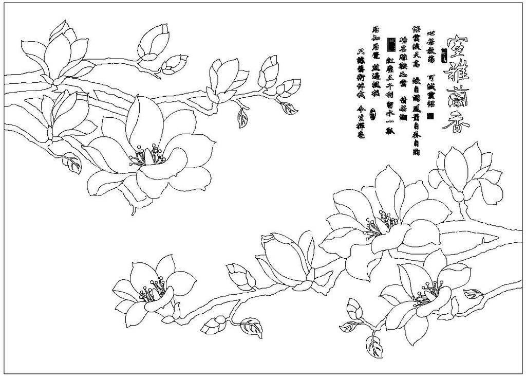 玉兰花简笔画图片大全 玉兰花简笔画图片大全彩色