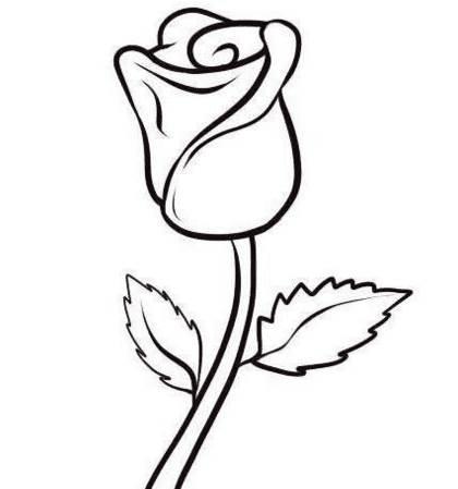 玫瑰花简笔画图片大全 玫瑰花简笔画图片大全大图简单