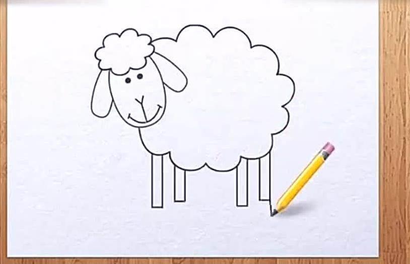 小绵羊简笔画 小绵羊简笔画彩色可爱