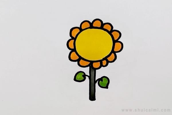 太阳花简笔画怎么画 太阳花简笔画图片