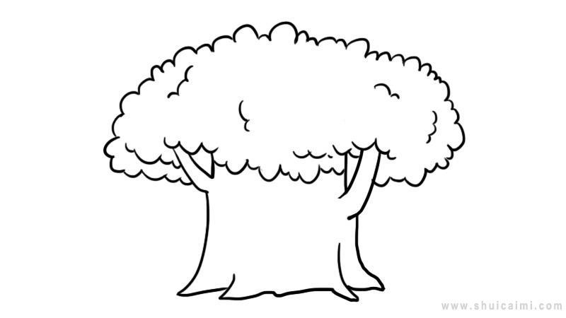 大树简笔画怎么画 大树简笔画顺序