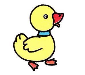 鸭子简笔画图片大全可爱 鸭子简笔画图片大全可爱带颜色